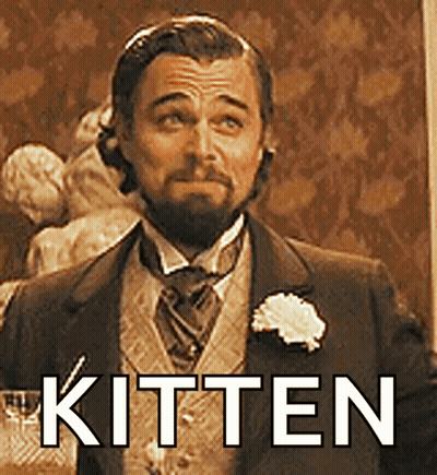 Man In Suit And Tie With Kitten GIF