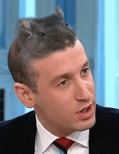 Man In Suit And Tie With Small Animal On Head GIF