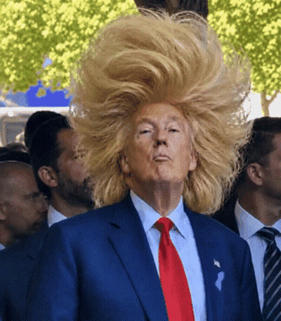Man In Suit And Tie With Wig GIF