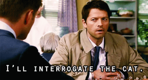 Man In Suit At Chess Board Says I'll Interrogate The Cat GIF