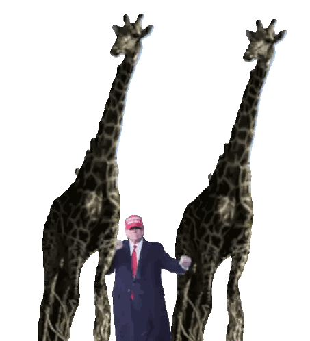 Man In Suit Between Giraffes Wearing Maga Hat Sticker