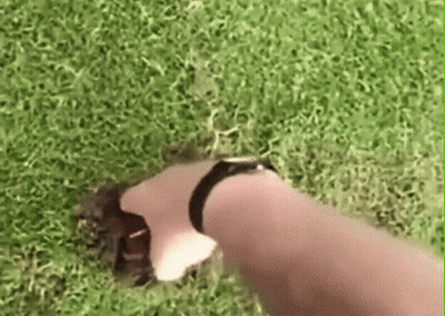 Man In Suit Clapping GIF