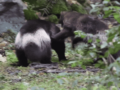 Man In Suit Giving Thumbs Up Says Southern Men Stay Sexy GIF