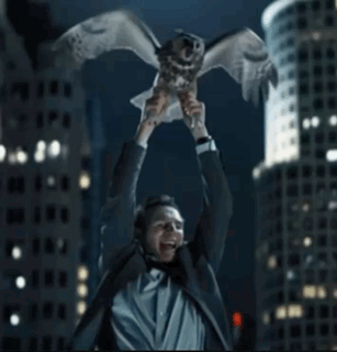 Man In Suit Holding Owl GIF