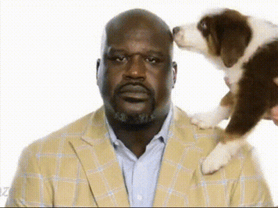 Man in Suit Holding Puppy on Shoulder