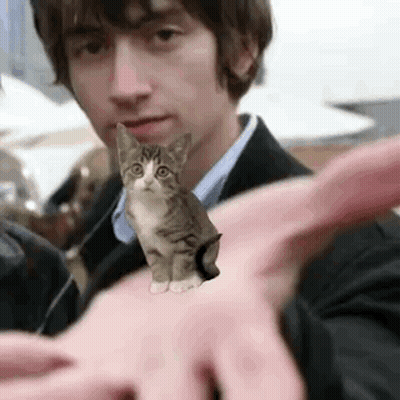 Man In Suit Holding Small Cat GIF