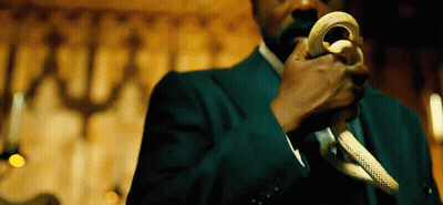 Man In Suit Holding Snake GIF