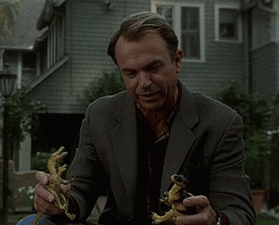 Man In Suit Holding Two Lizards GIF