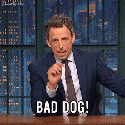 Man In Suit Saying Bad Dog GIF
