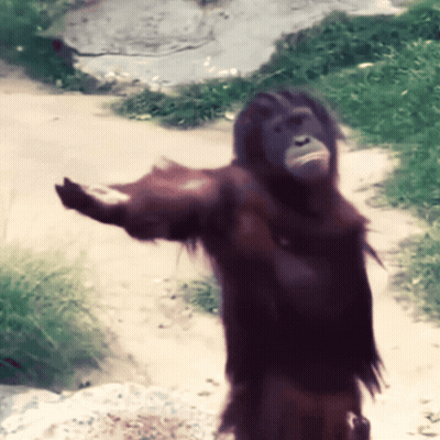 Man In Suit Saying Give Me The Precise Time GIF