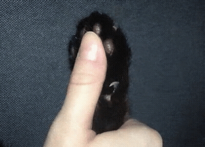 Man In Suit Saying Nothing Can Stop The Claw This Is You GIF