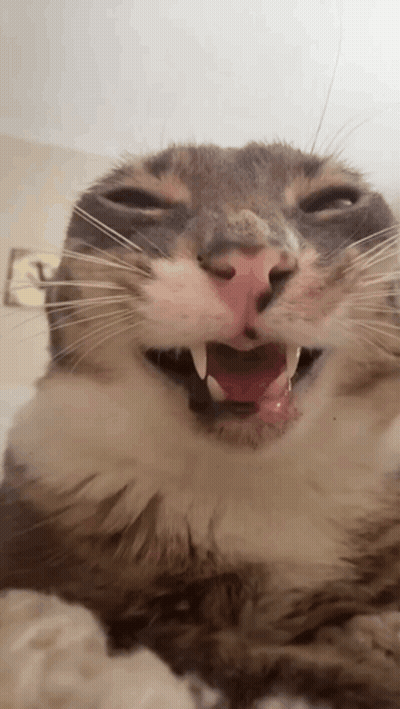 Man In Suit Saying You May Have Won Battle But I Will Win Next Battle GIF