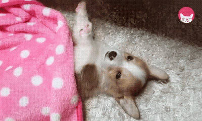 Man In Suit Says Good Bye And Take Care GIF