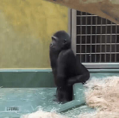 Man In Suit Says That's Horsesh*t To Group Of Men GIF