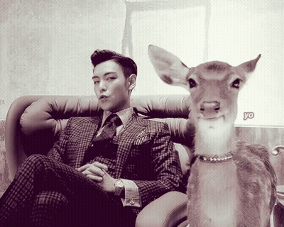 Man In Suit Sitting Next To Stuffed Deer Saying Yo GIF