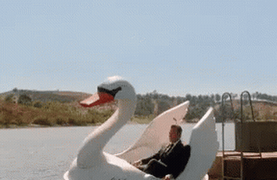 Man In Suit Sitting On Swan Pedal Boat GIF