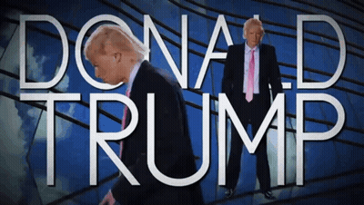 Man In Suit Standing Before Donald Trump GIF