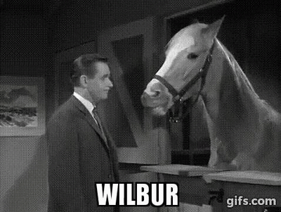 Man In Suit Standing Next To White Horse GIF