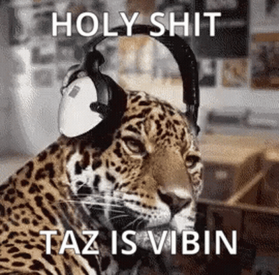 Man In Suit Sunglasses Says Joe Vibin GIF