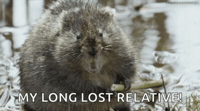 Man In Suit Talking On Phone GIF