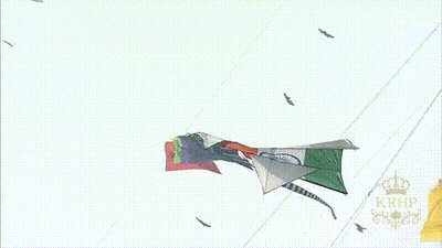 Man In Suit Watching Kites Flying GIF