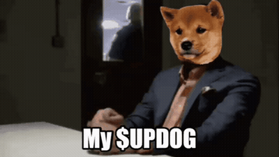 Man In Suit With Dog On Head My Supdog GIF