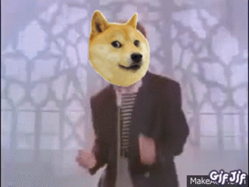Man In Suit With Doge Head GIF