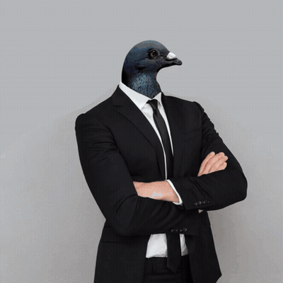 Man In Suit With Pigeon Head On Head GIF