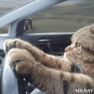 Man In Sunglasses And Hat Making Funny Face GIF