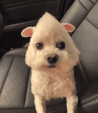 Man In Sunglasses And Leather Jacket Checking Watch GIF