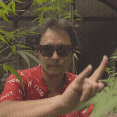 Man In Sunglasses And Red Shirt Giving Middle Finger GIF