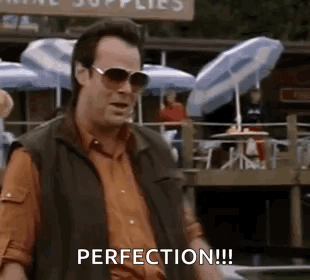 Man In Sunglasses And Vest Says Perfection GIF