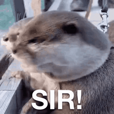 Man In Sunglasses And White Tank Top Says A Little Bit Of Magic Dust GIF