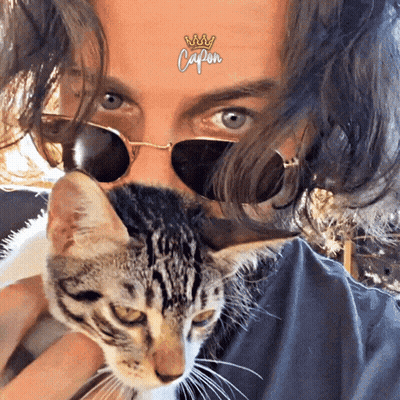 Man In Sunglasses Holding Cat With Capon Sticker GIF