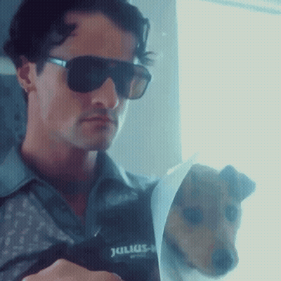 Man In Sunglasses Holding Dog With Julius GIF