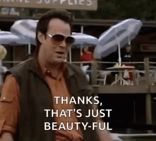 Man In Sunglasses Says Thanks That's Just Beautiful GIF