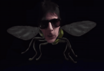 Man In Sunglasses With Big Fly Wings GIF