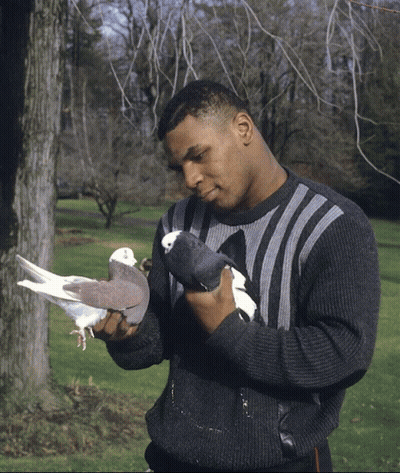 Man In Sweater Holding Two Pigeons GIF