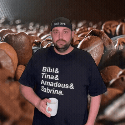 Man In T-Shirt Saying Bibi & Tina & Amadeus & Sabrina GIF