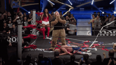 Man In Teddy Bear Costume With Ring Of Honor Sign GIF