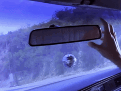 Man In The Rearview Mirror GIF