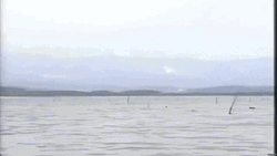 Man In The Sea Encouragement GIF