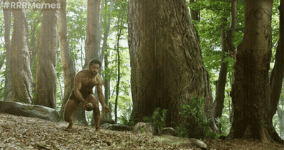 Man In The Woods #Rrrmemes GIF