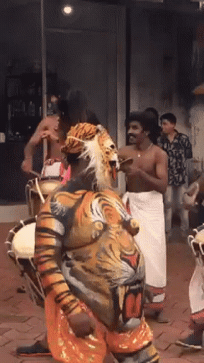 Man In Tiger Costume Playing Drums GIF