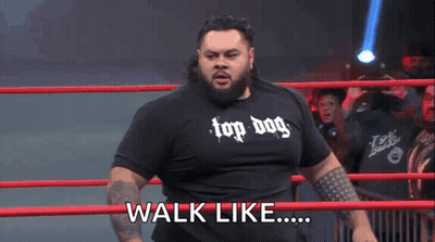 Man In Top Dog Shirt In Wrestling Ring Says Walk Like GIF