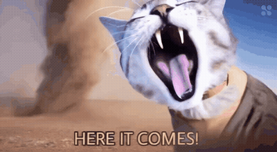 Man In Top Hat And Bow Tie Saying Here It Comes GIF