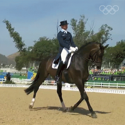 Man In Top Hat Riding Horse With Olympic Rings GIF
