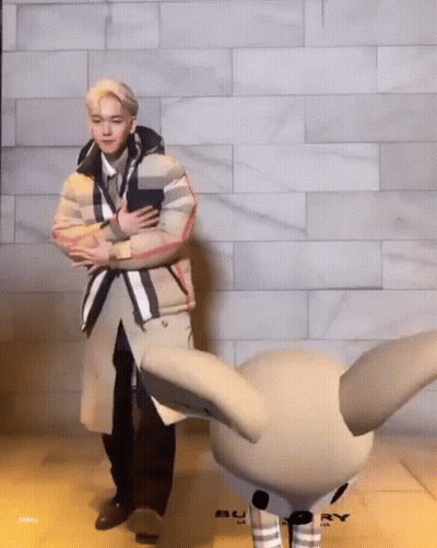 Man In Trench Coat With Burberry Stuffed Animal GIF