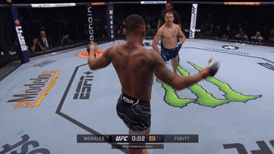 Man In Venum Shorts In UFC Ring GIF