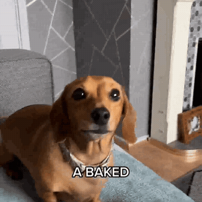Man In Wheelchair Says I'll Treasure It Forever GIF